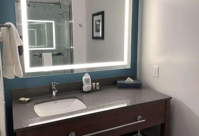 キングサイズベッドのスイートルーム, La Quinta Inn & Suites By Wyndham Littleton Red Rocks