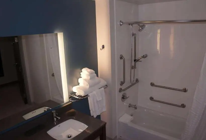 身障者適用スタンダードルーム, La Quinta Inn & Suites By Wyndham Littleton Red Rocks