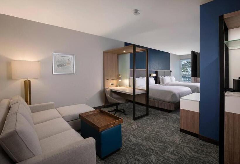 Suite, Springhill Suites By Marriott Amelia Island