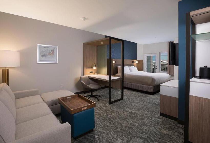 جناح سرير كينج, Springhill Suites By Marriott Amelia Island