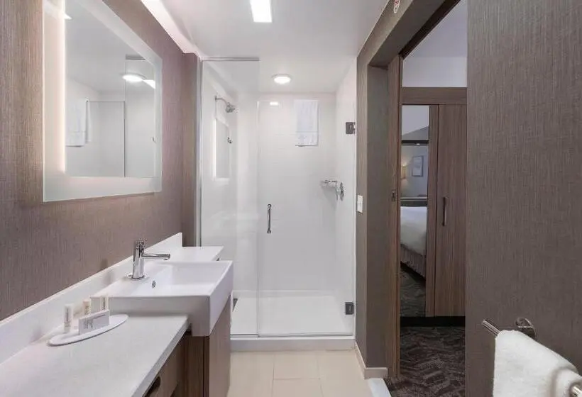 クイーンサイズベッドのスイートルーム, Springhill Suites By Marriott Amelia Island