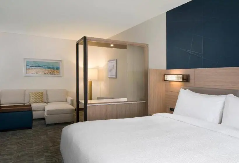 استودیو استاندارد با تخت کینگ, Springhill Suites By Marriott Amelia Island
