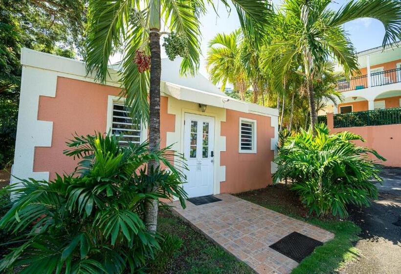 Deluxe Suite King Bed, Arawak Bay: Inn At Salt River