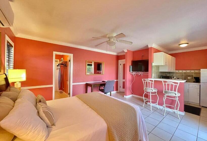 Deluxe Suite King Bed, Arawak Bay: Inn At Salt River