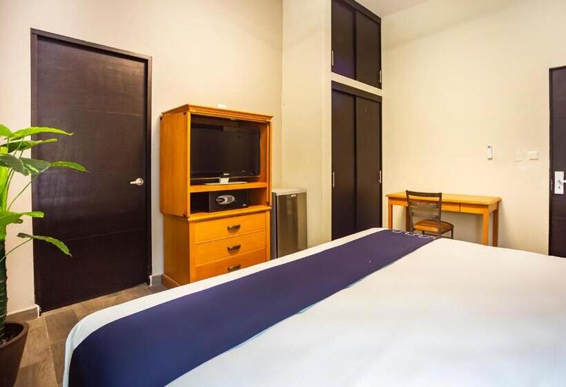 수피리어 룸, Boutique De Firma