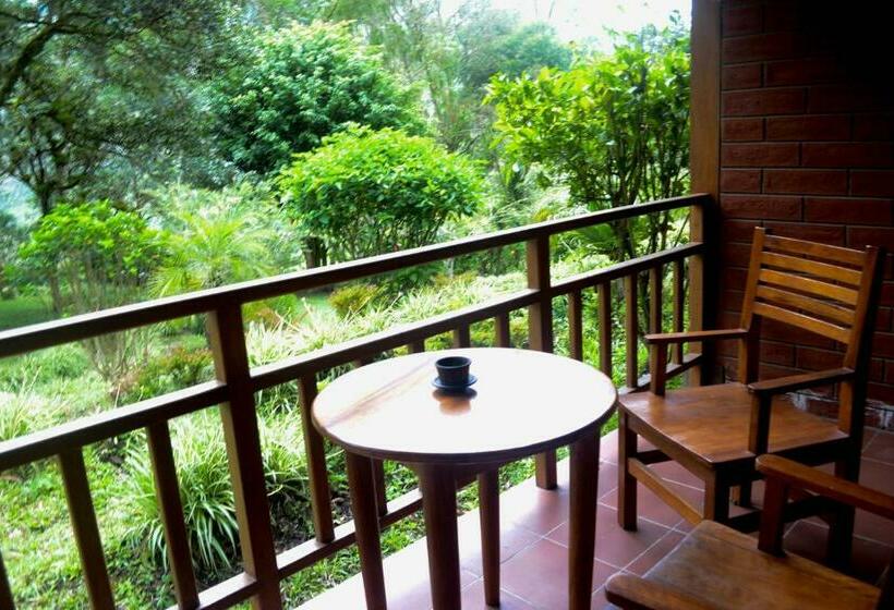 공동 객실, Mama Tungu Hostel