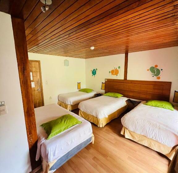 공동 객실, Mama Tungu Hostel