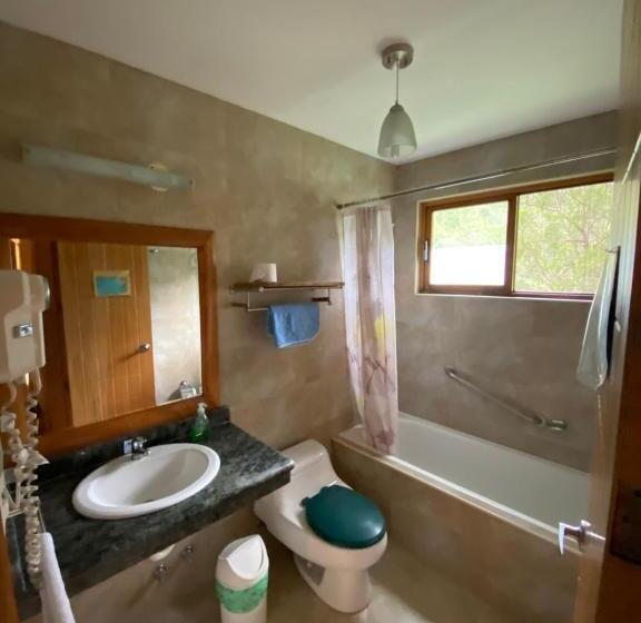 공동 객실, Mama Tungu Hostel