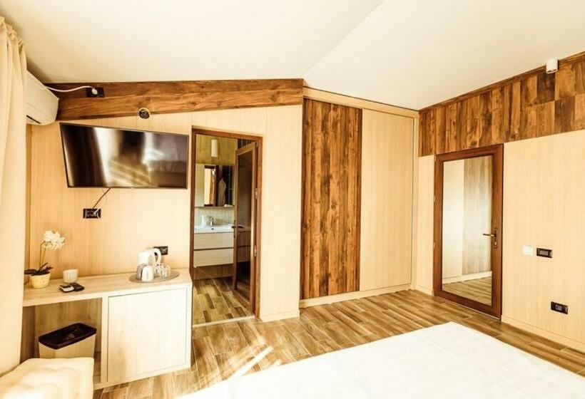 スタンダードルーム, L’invidia