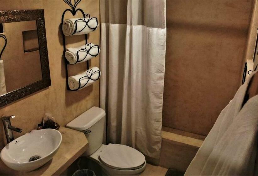 スタンダードルーム, Amor Progreso