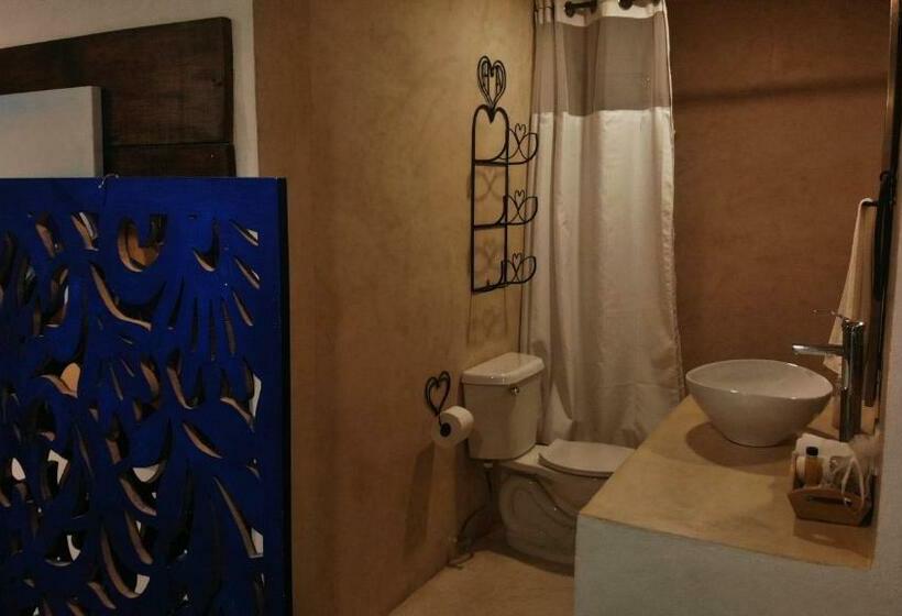 スタンダードルーム, Amor Progreso