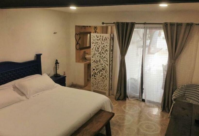 スタンダードルーム, Amor Progreso