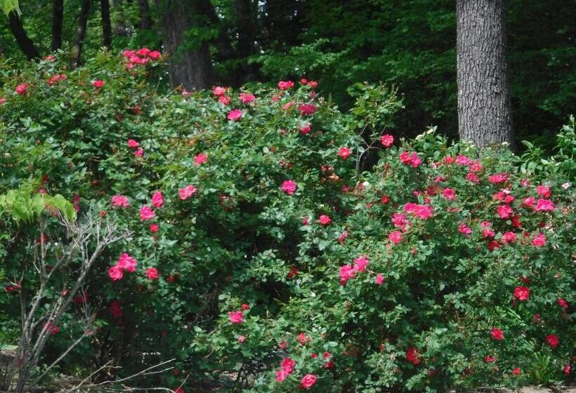 패밀리 룸, Serenity Hill Bed And Breakfast