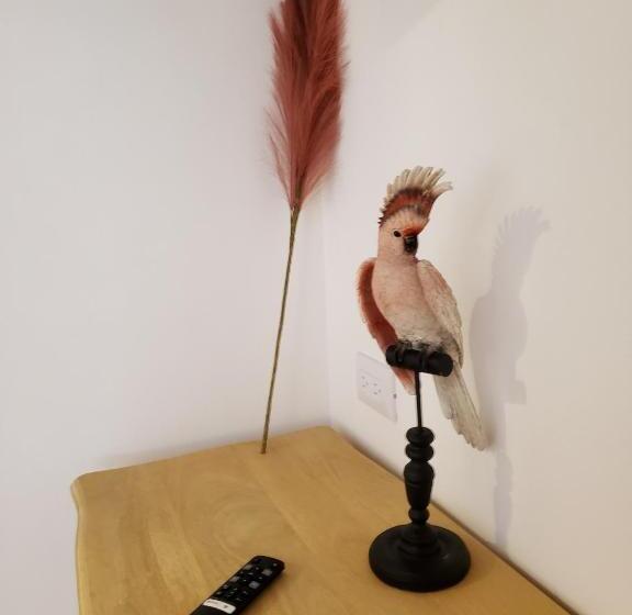 اتاق استاندارد با چشمانداز استخر, Takuma Boutik