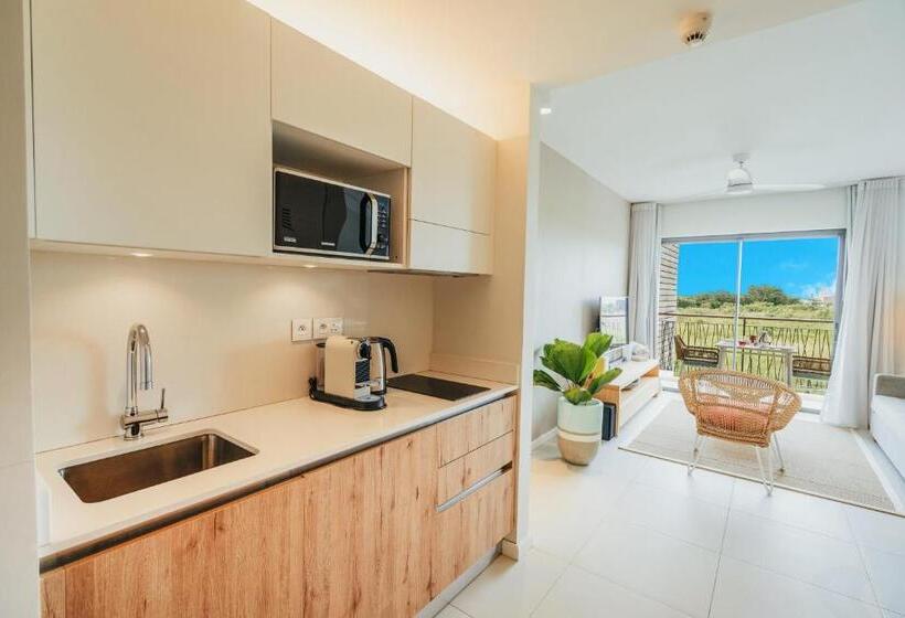 استودیوی استاندارد, Domaine De Grand Baie