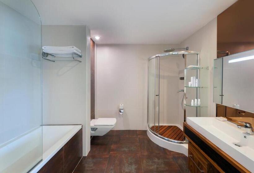 オーシャンビューデラックスルーム, Nuh Un Gemisi Deluxe Hotel & Spa