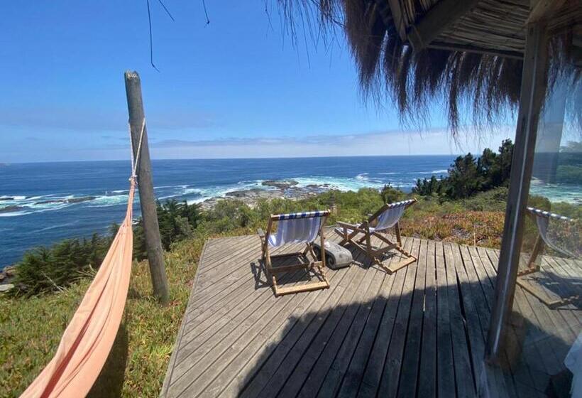 オーシャンビュースタンダードルームバルコニー付き, Club El Tebo