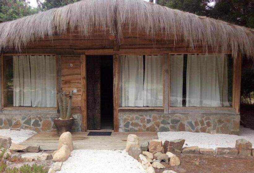 בקתה, Club El Tebo