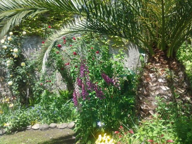 חדר סטנדרט, Chambres D'hôtes Aroha