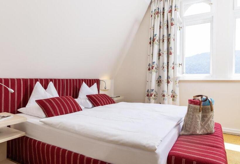 اتاق استاندارد با چشم‌انداز دریاچه, Dermuth Hotels – Parkvilla Wörth