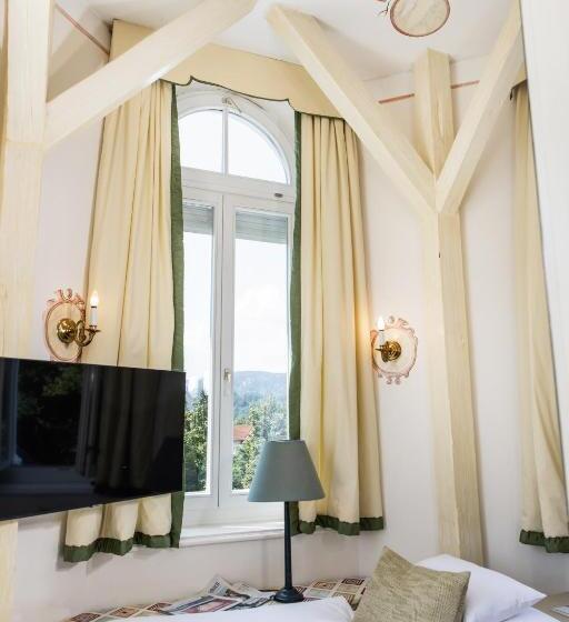 Одноместный Номер Basic, Dermuth Hotels – Parkvilla Wörth