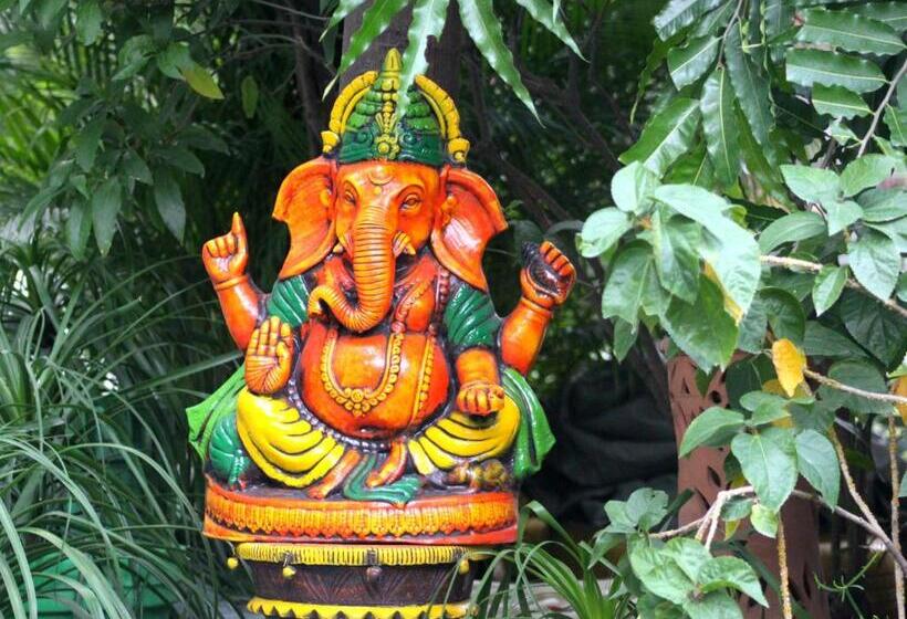 Deluxe Rum, Green Hills Cottage Rishikesh