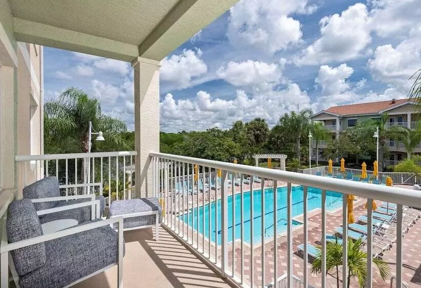 سوییت با چشم‌انداز استخر, Doubletree Suites By Hilton Naples