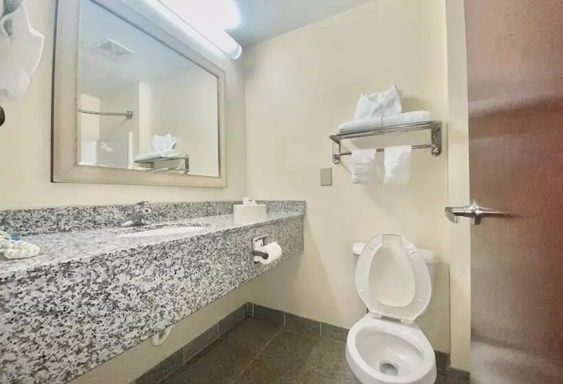 ２ダブルベッドのスタンダードルーム, Holiday Inn Express & Suites Indianapolis   East, An Ihg