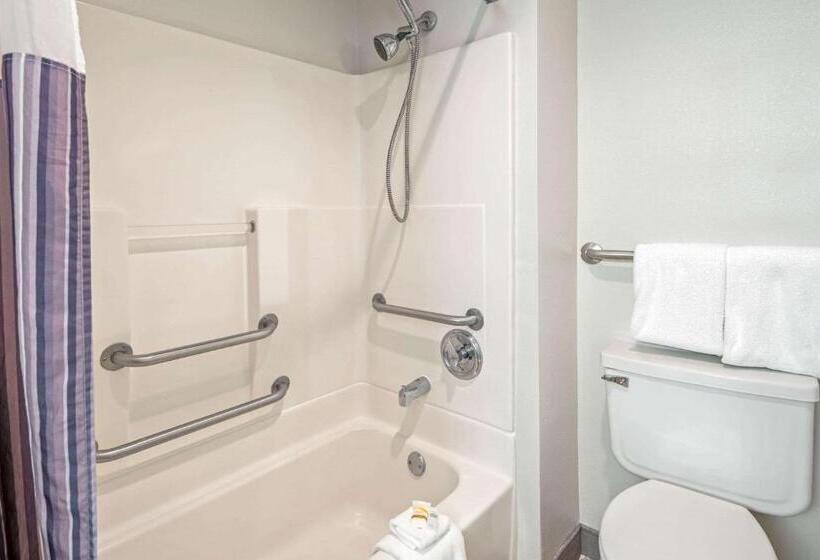 اتاق لوکس با تخت بزرگ, La Quinta By Wyndham Baton Rouge Siegen Lane