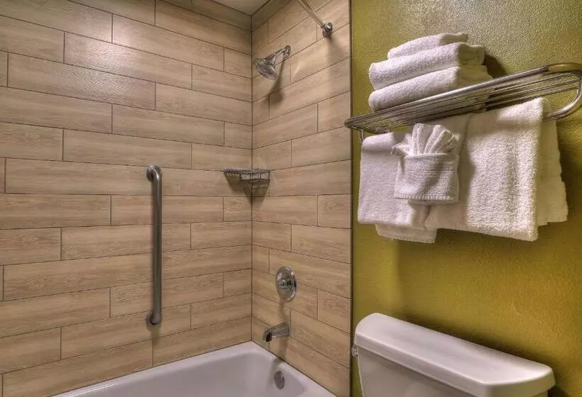 スタンダードルーム, Quality Inn Near The Island Pigeon Forge