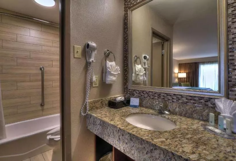 スタンダードルーム, Quality Inn Near The Island Pigeon Forge