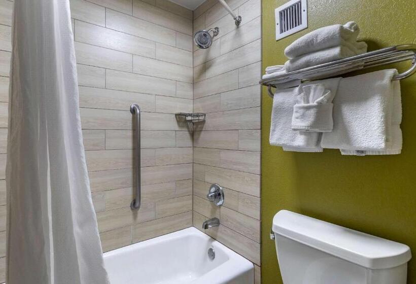 اتاق استاندارد با تخت بزرگ, Quality Inn Near The Island Pigeon Forge