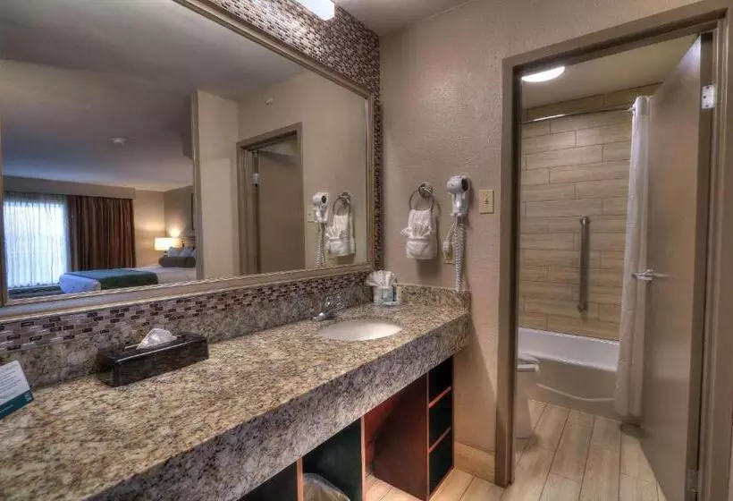 ハイドロマッサージバス付きスイート, Quality Inn Near The Island Pigeon Forge