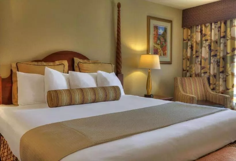 ハイドロマッサージバス付きスイート, Quality Inn Near The Island Pigeon Forge