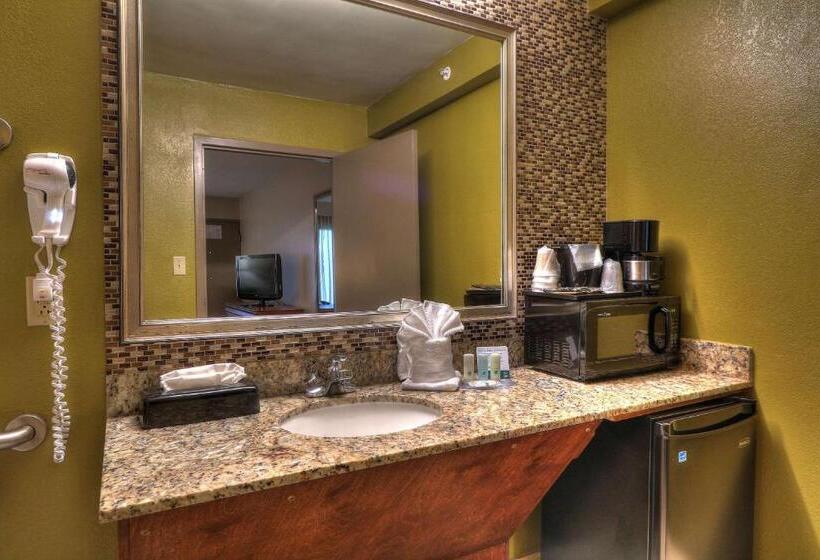 اتاق استاندارد با تخت بزرگ برای معلولان, Quality Inn Near The Island Pigeon Forge