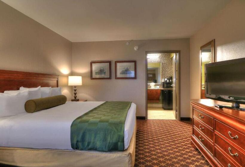 اتاق استاندارد با تخت بزرگ برای معلولان, Quality Inn Near The Island Pigeon Forge