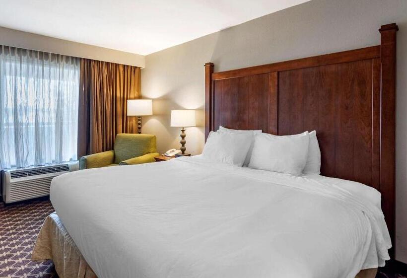 适合残疾人士使用的带超级大床的标准间, Quality Inn Near The Island Pigeon Forge