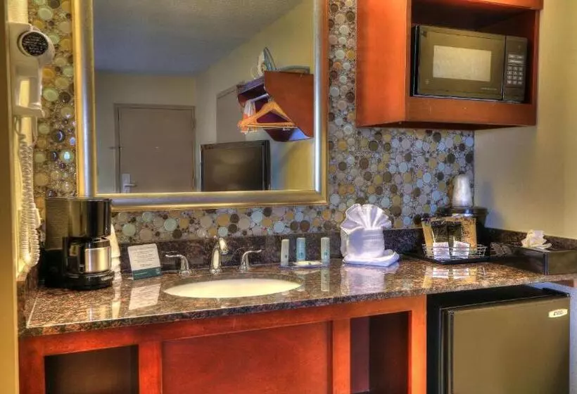 身障者適用スタンダードルーム, Quality Inn Near The Island Pigeon Forge