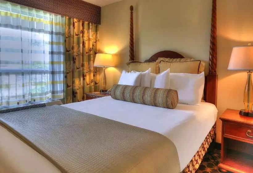身障者適用スタンダードルーム, Quality Inn Near The Island Pigeon Forge