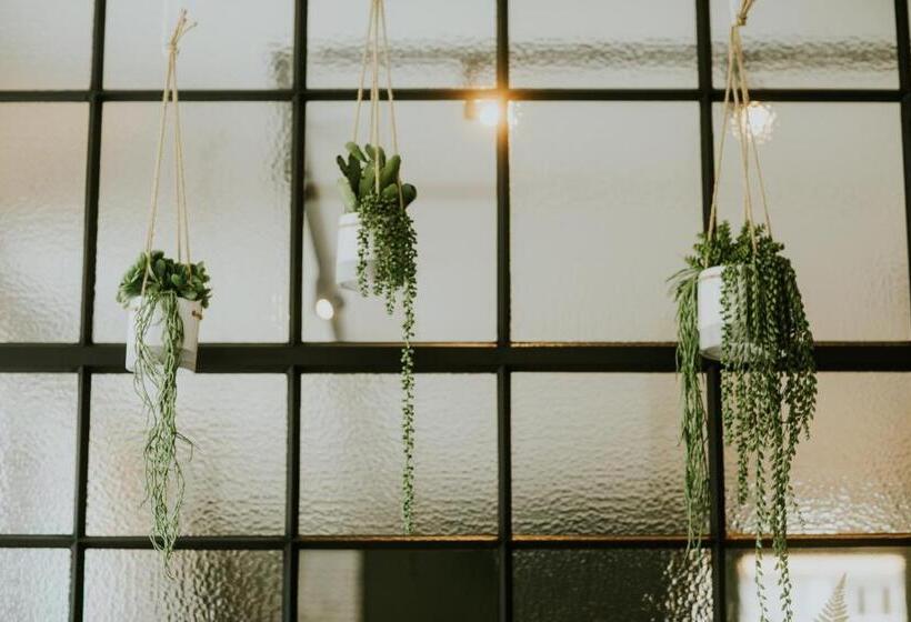 标准单人间, Jerom