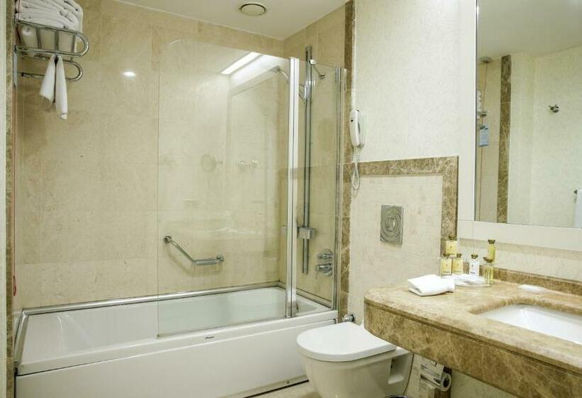 スタンダードシティビュールーム, Byotell Hotel Istanbul