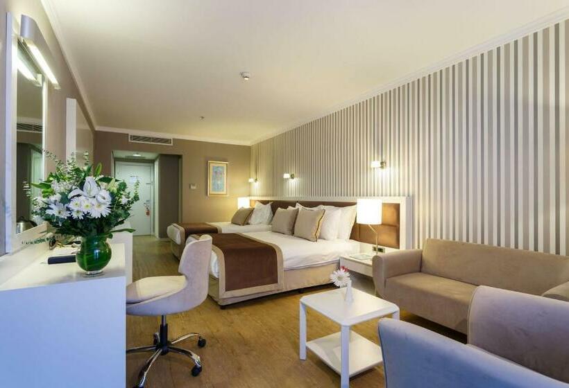 スタンダードシティビュールーム, Byotell Hotel Istanbul