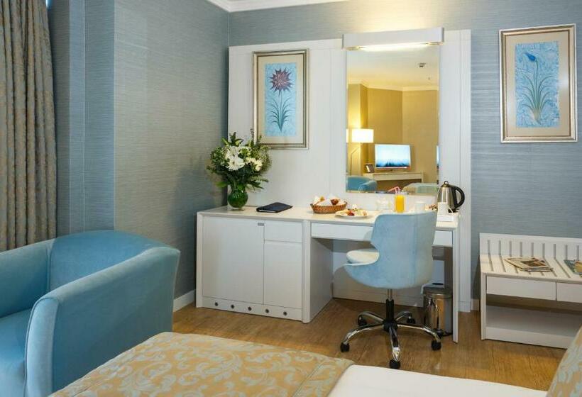 スタンダードシティビュールーム, Byotell Hotel Istanbul
