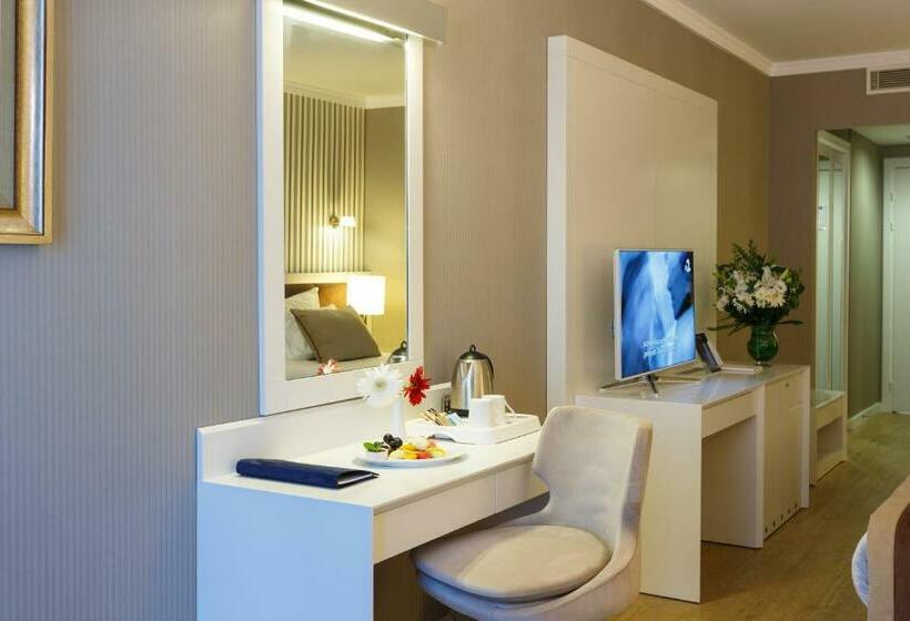 スタンダードシティビュールーム, Byotell Hotel Istanbul