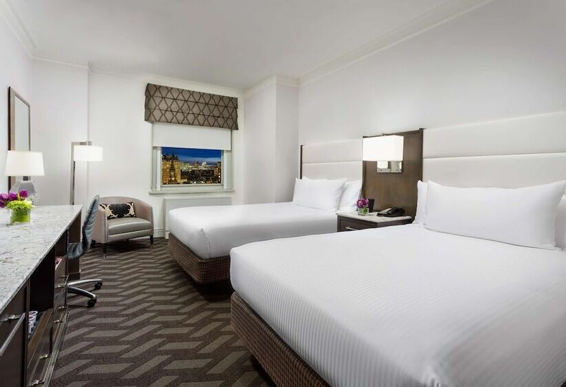 수피리어 룸, Hilton Boston Park Plaza