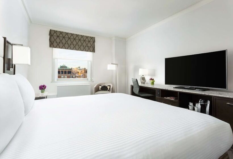 수피리어 룸, Hilton Boston Park Plaza
