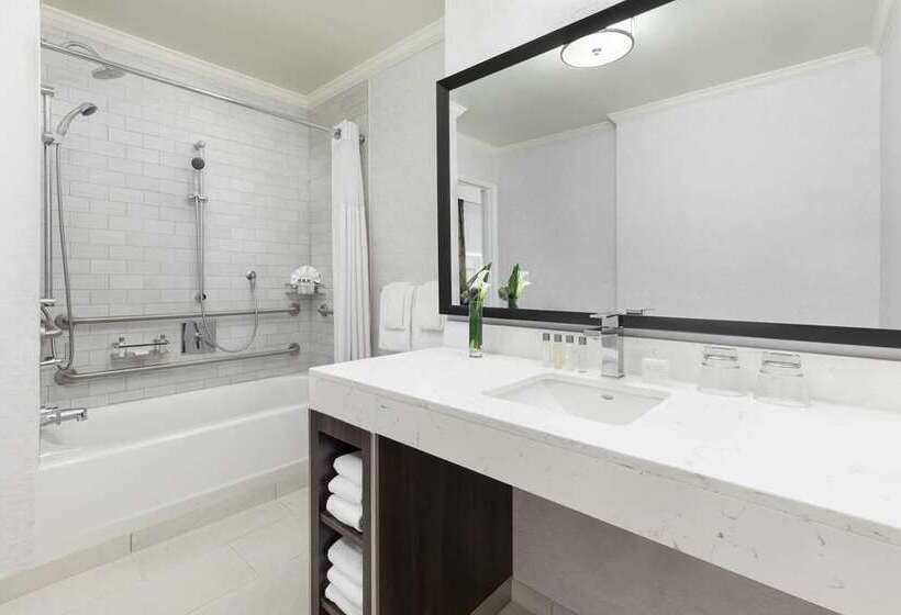 장애인을 위한 스탠다드 룸, Hilton Boston Park Plaza