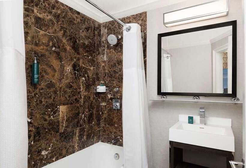 스탠다드 스튜디오, Hilton Boston Park Plaza