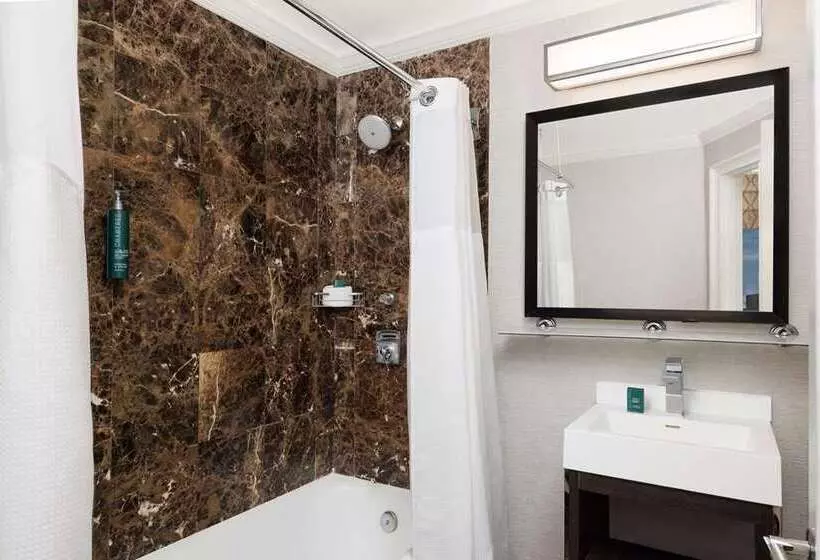 استودیوی استاندارد, Hilton Boston Park Plaza