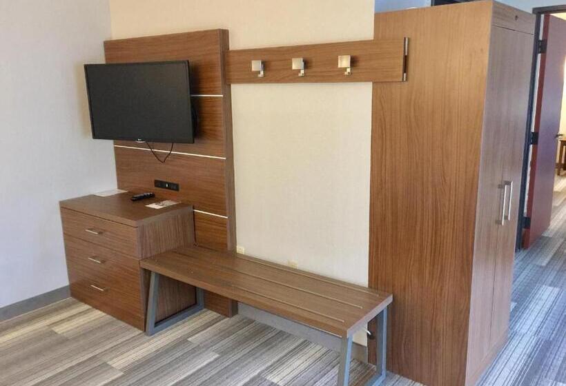 Люкс Кровать Кинг, Holiday Inn Express & Suites Houston   Memorial Park Area, An Ihg